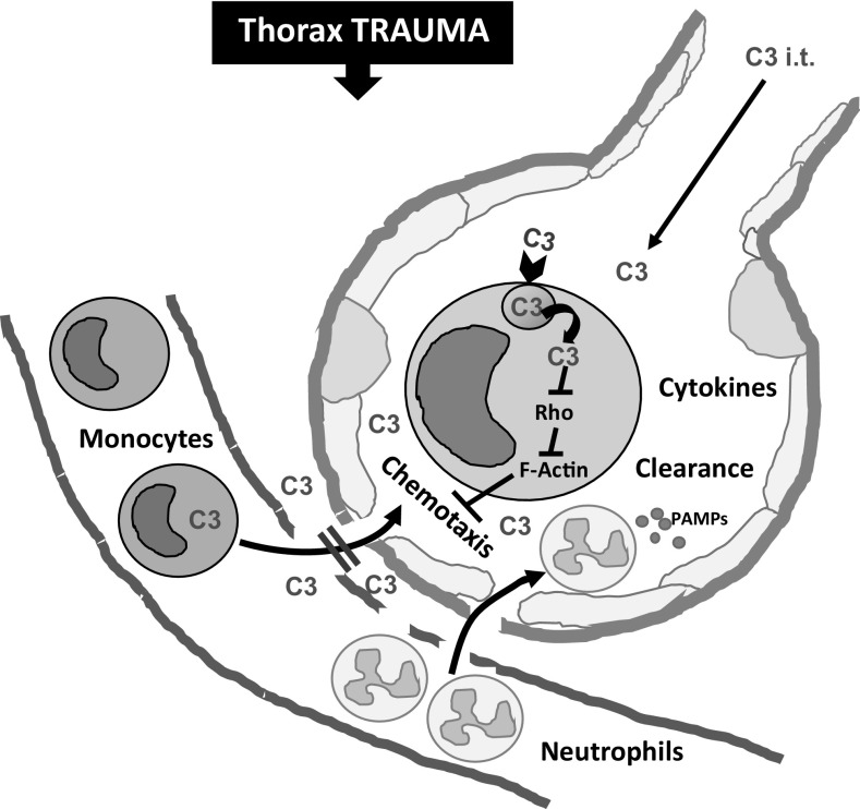 Fig. 7