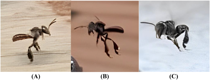 Fig. 1