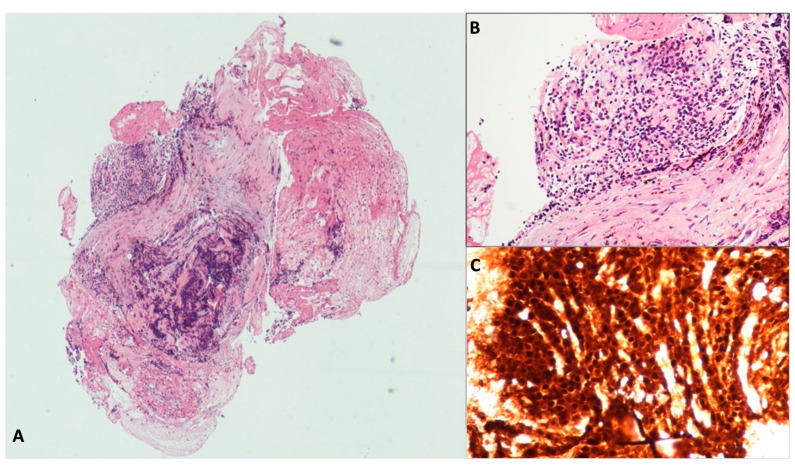 Figure 9