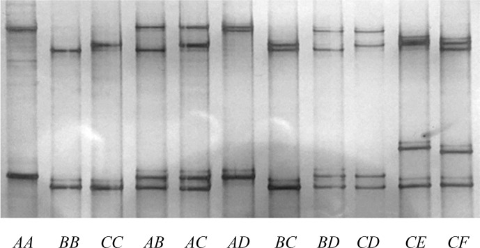 Figure 2