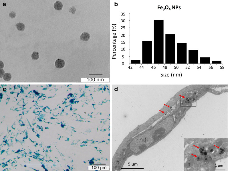 Fig. 2