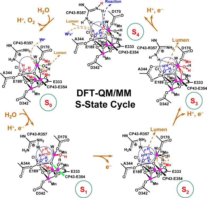 Figure 11