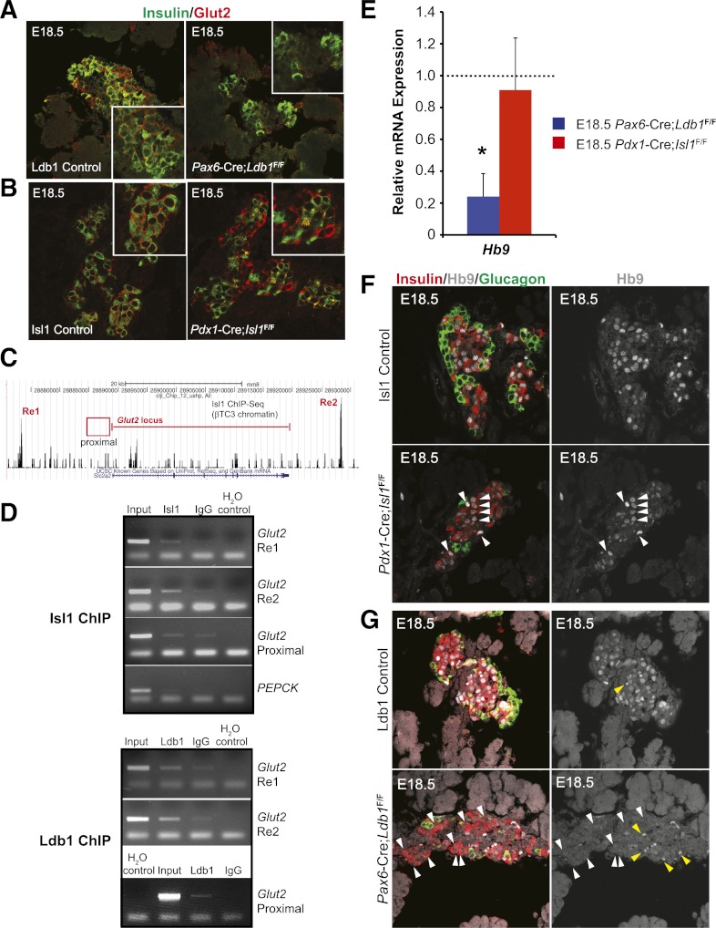 FIG. 6.