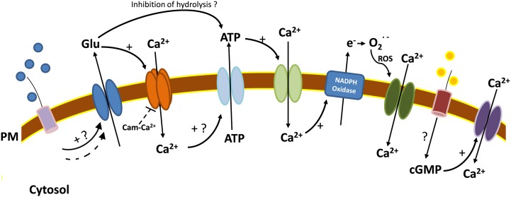 Figure 2.