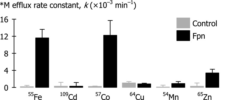 Fig. 3.