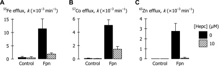 Fig. 8.