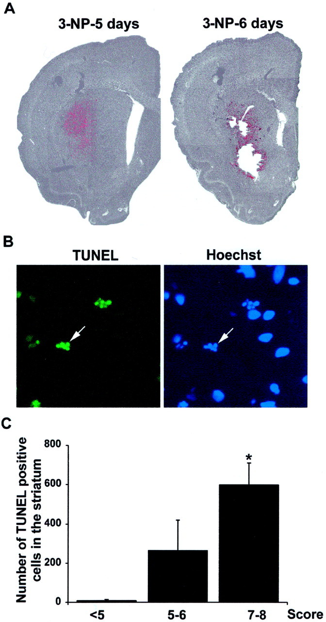 Fig. 3.