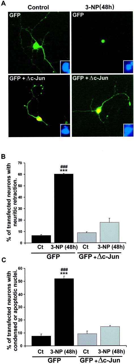 Fig. 9.