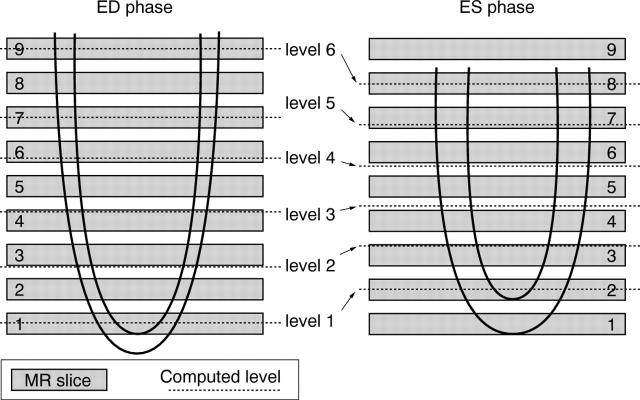 Figure 1  