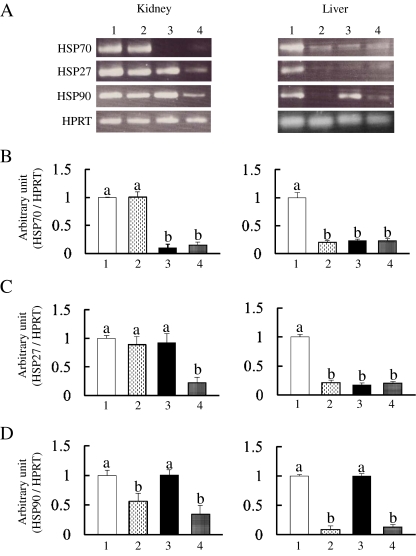 Fig. 6