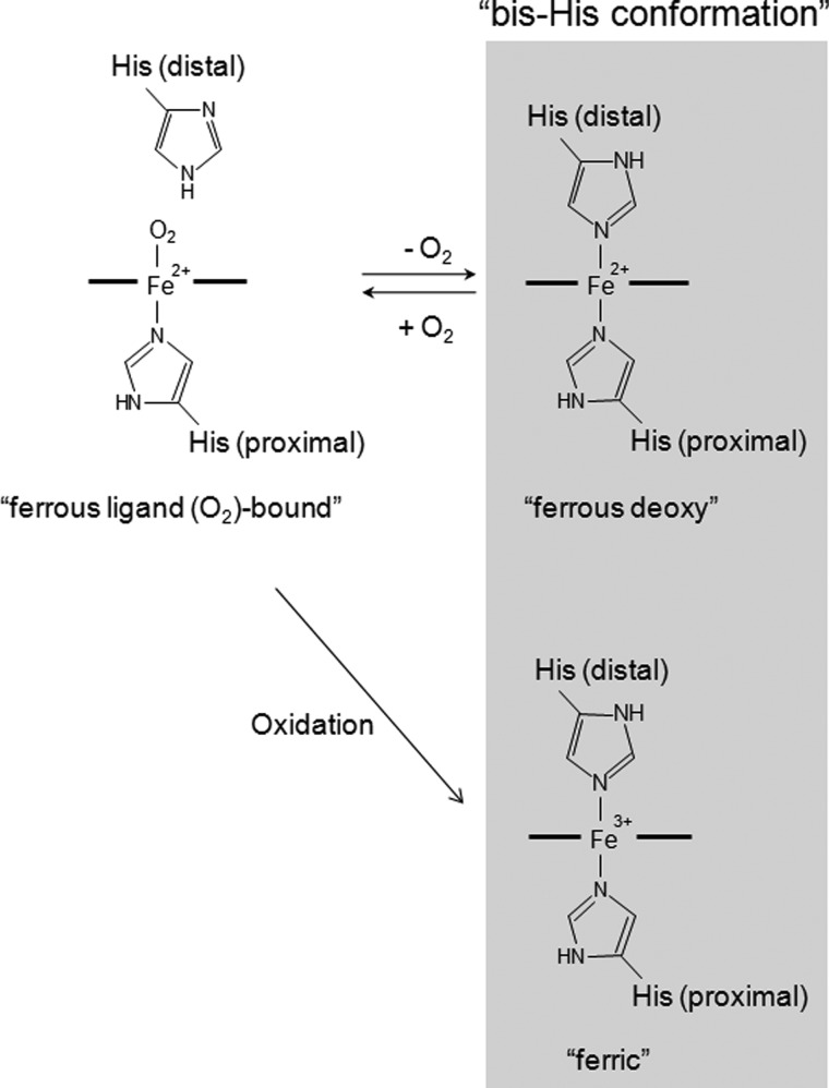 FIGURE 1.