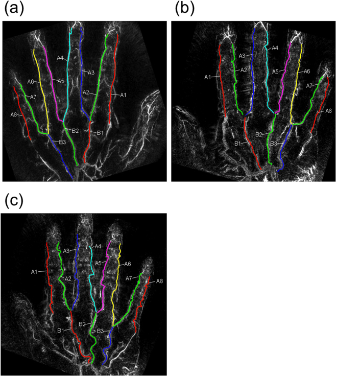 Figure 2