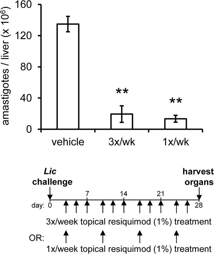 FIG 2