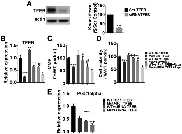 Figure 12.