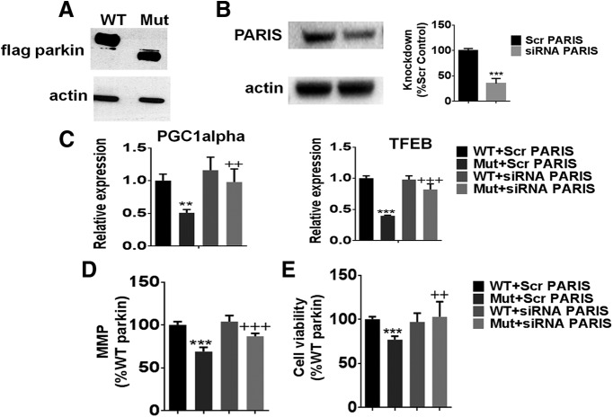 Figure 11.