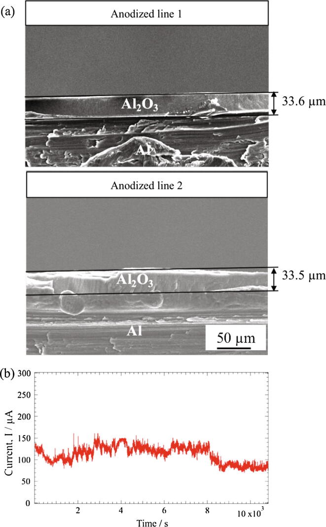 Fig. 7