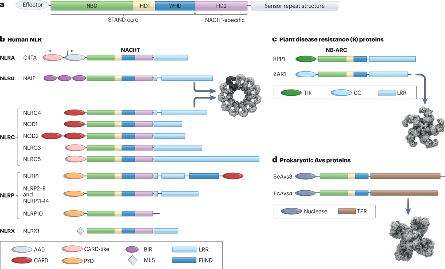 Figure 1: