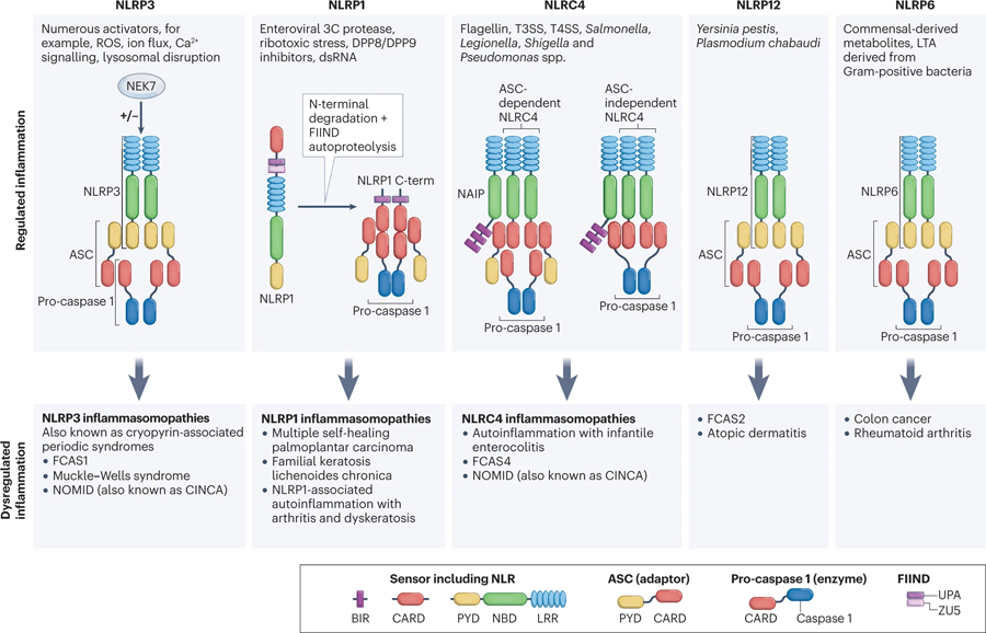 Figure 3: