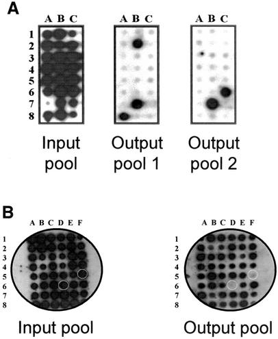 FIG. 1.