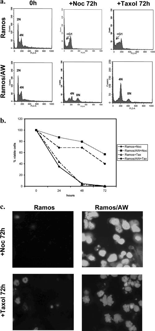 FIG. 4.