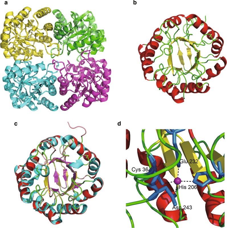 Fig. 3