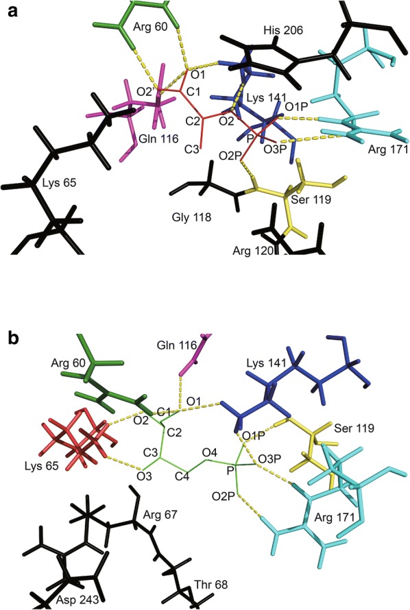 Fig. 4