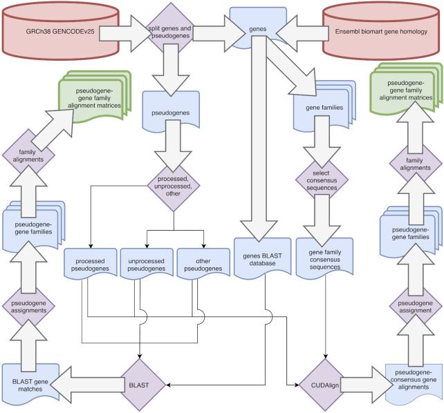 Figure 1: