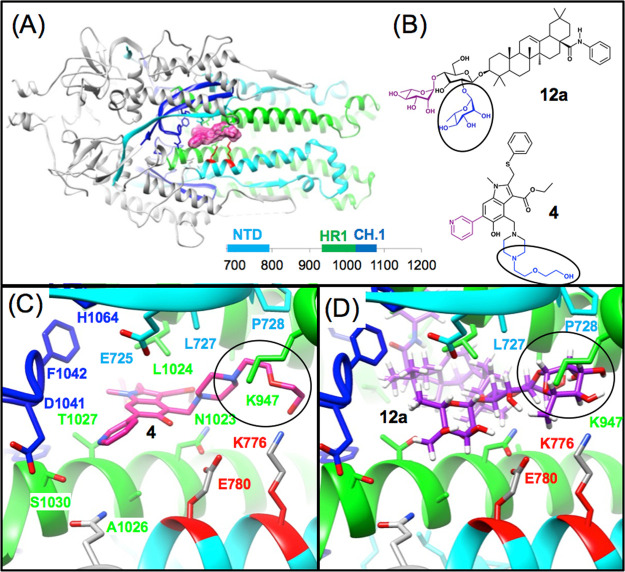 Figure 12