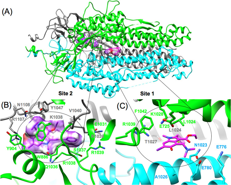 Figure 9