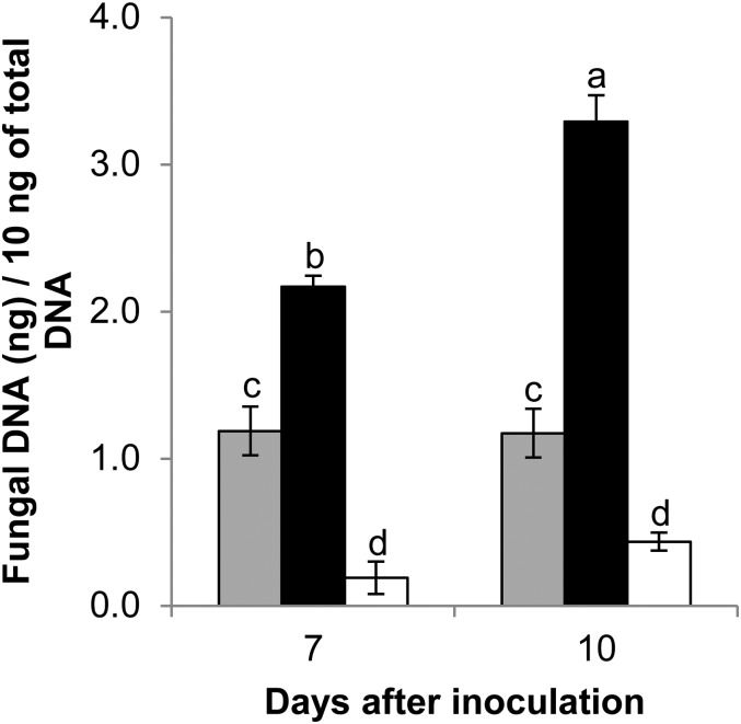 Figure 5.