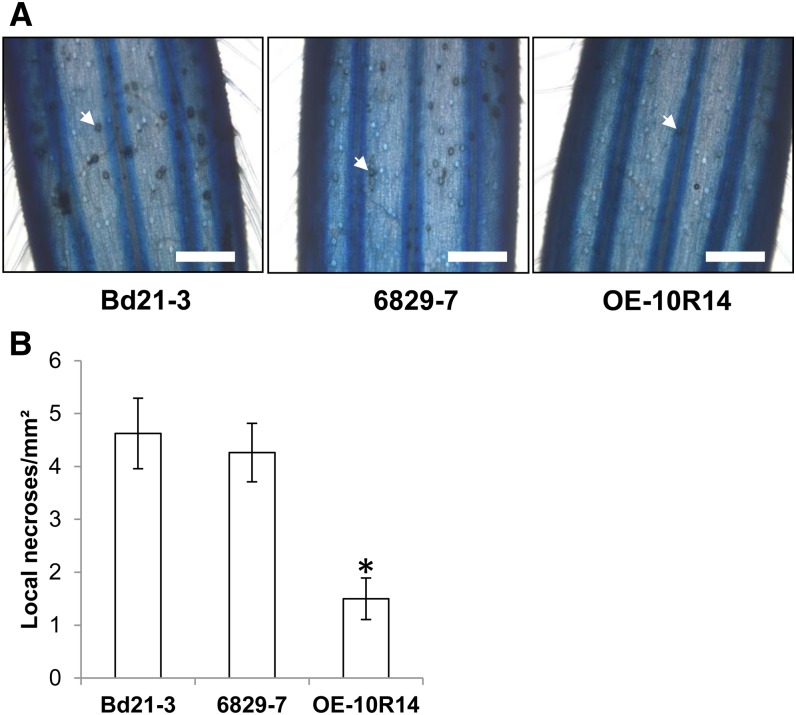 Figure 10.