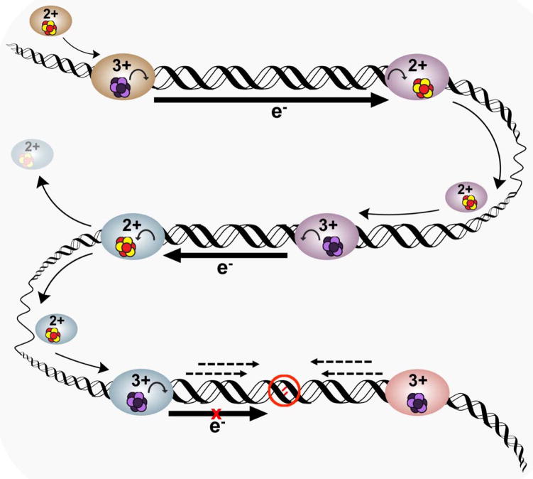 Figure 8