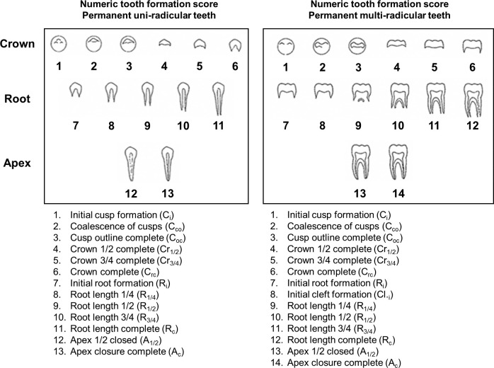 Figure 2.