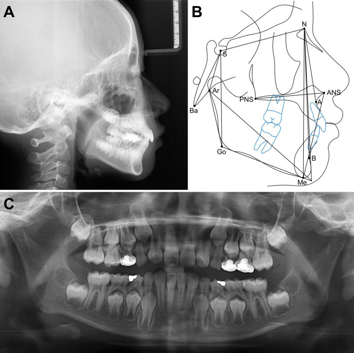 Figure 1.