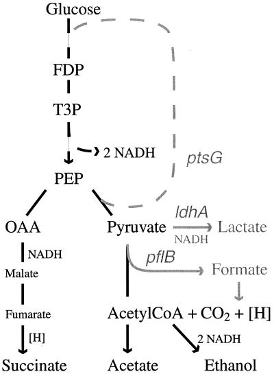 FIG. 4