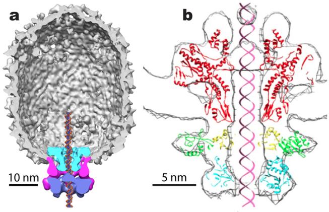 Fig. 1