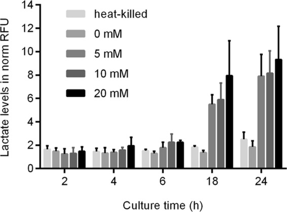 FIG 3