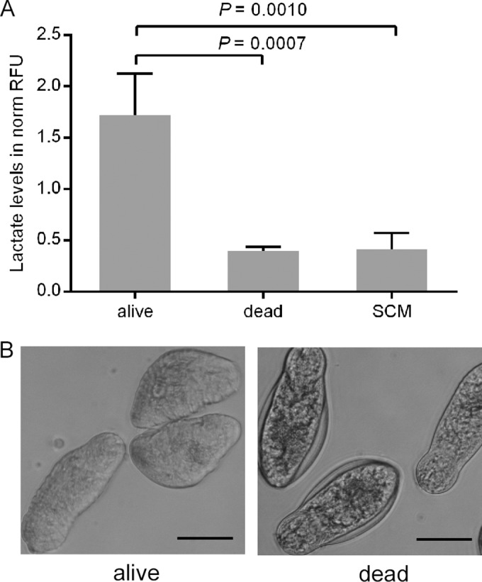 FIG 1