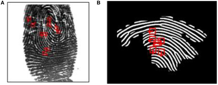 Figure 12