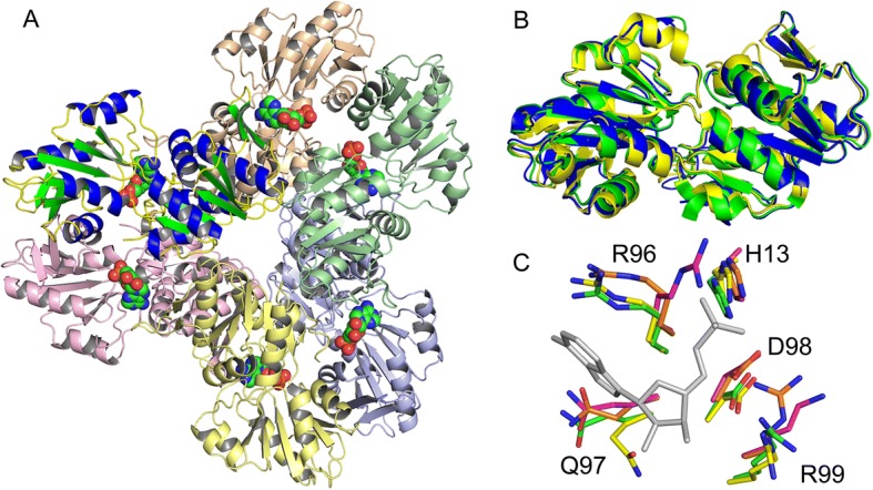 Fig. 2