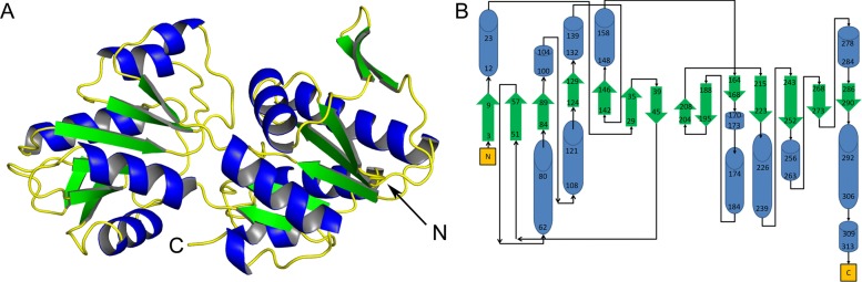 Fig. 1