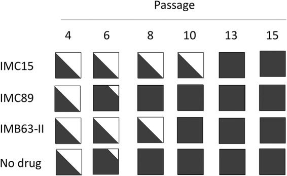 FIG 6