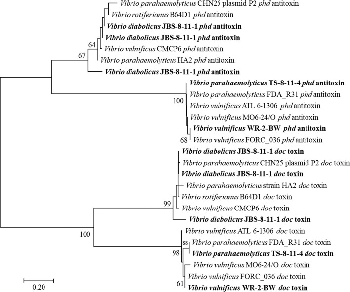 Fig. 2