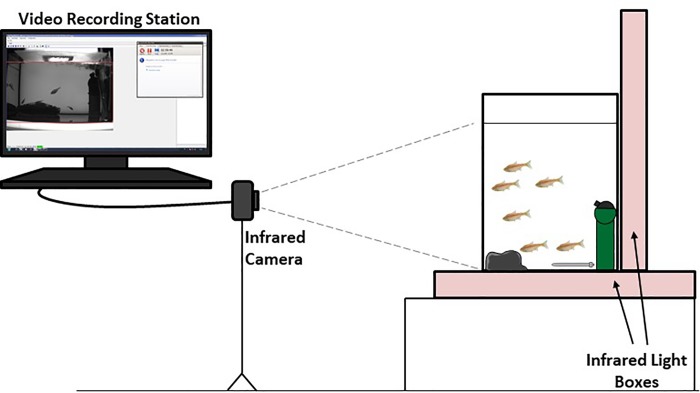 Fig 1