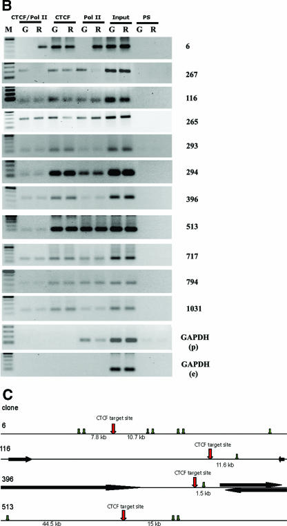 FIG. 5.