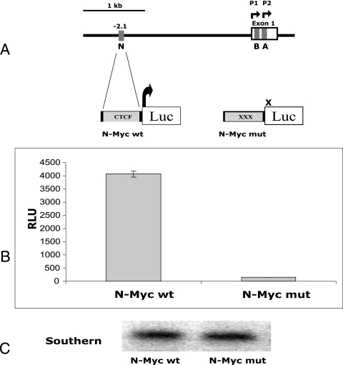 FIG. 4.