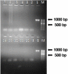 Fig. 3b