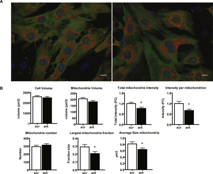 Figure 6