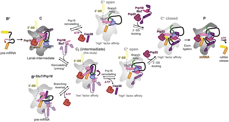 Figure 6