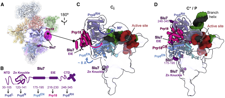 Figure 3